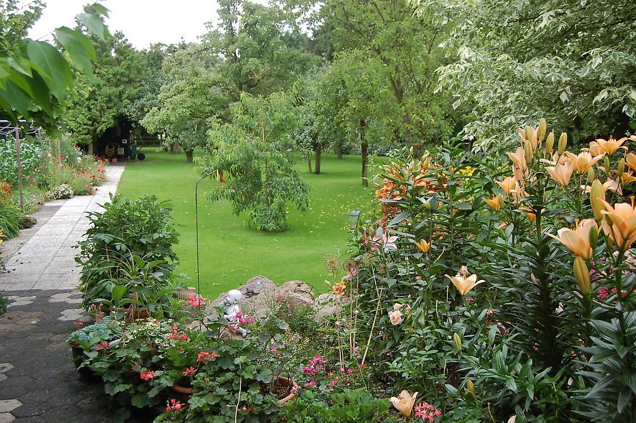 The Stonefarm - Het Tuinpad Op / In Nachbars Garten