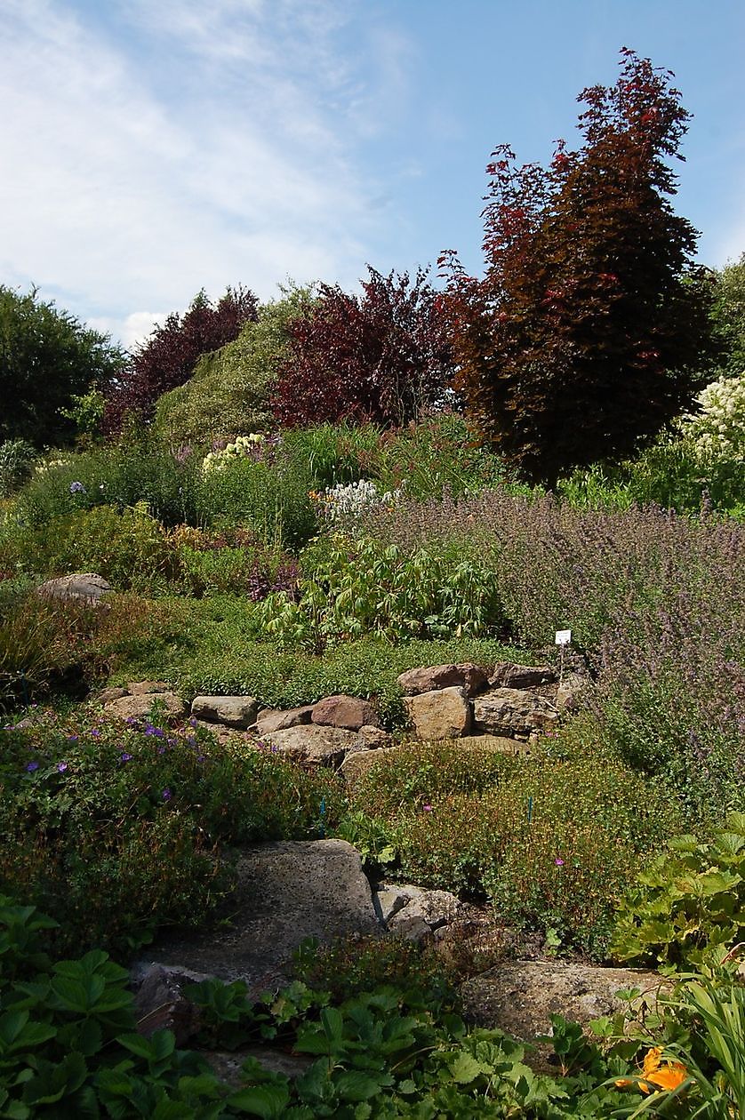 Gerhard Mühring, Staudengärtnerei - Het Tuinpad Op / In Nachbars Garten