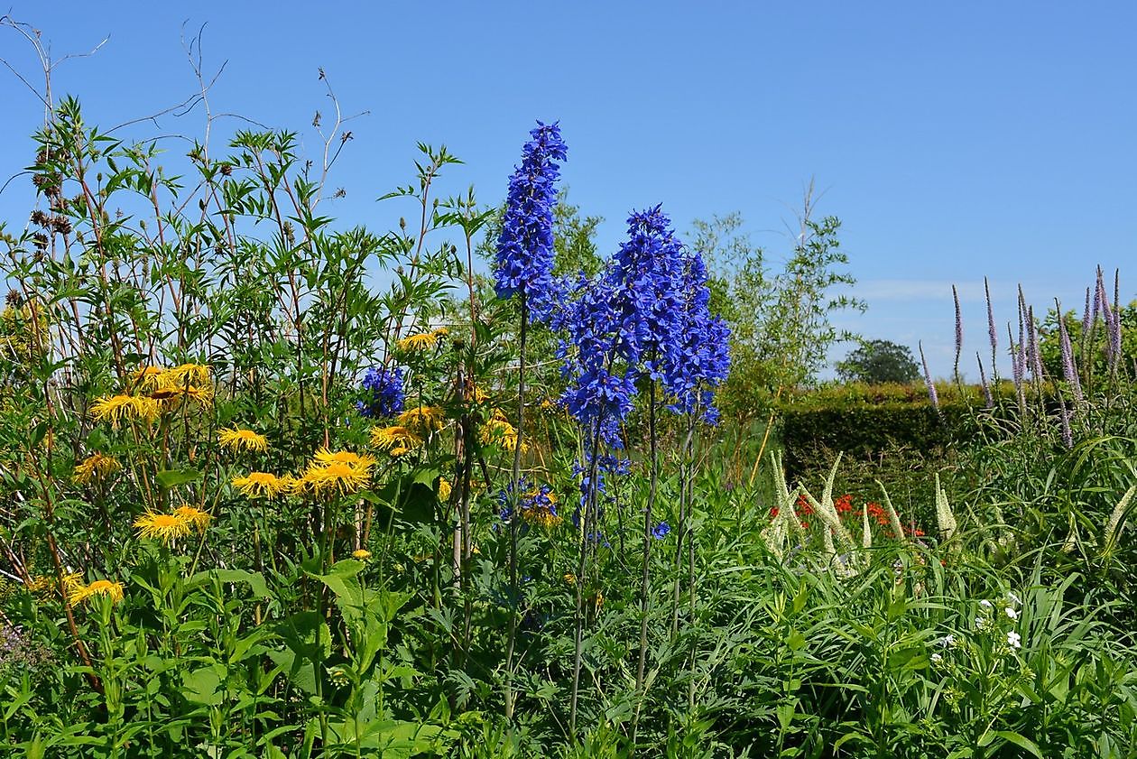 Gärtnerei Jacobs - Het Tuinpad Op / In Nachbars Garten