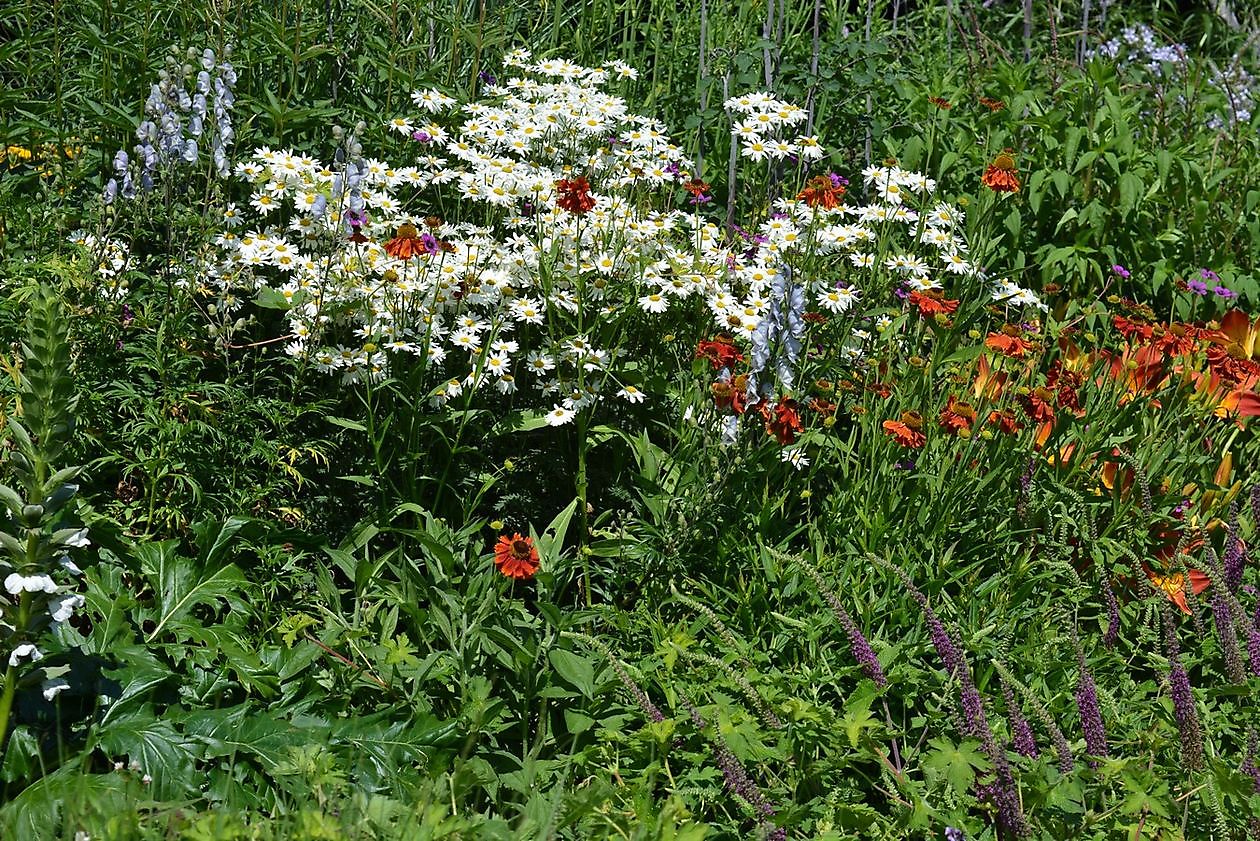 Gärtnerei Jacobs - Het Tuinpad Op / In Nachbars Garten