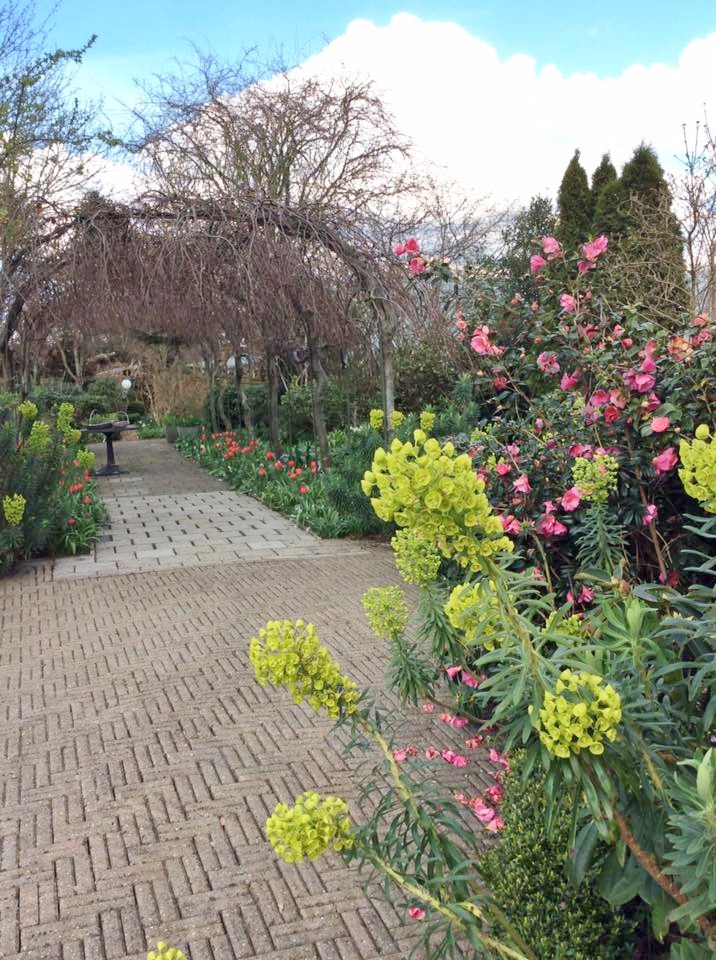  - Het Tuinpad Op / In Nachbars Garten