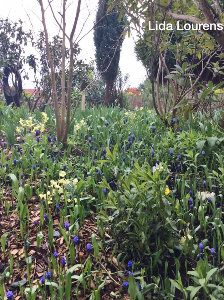  - Het Tuinpad Op / In Nachbars Garten