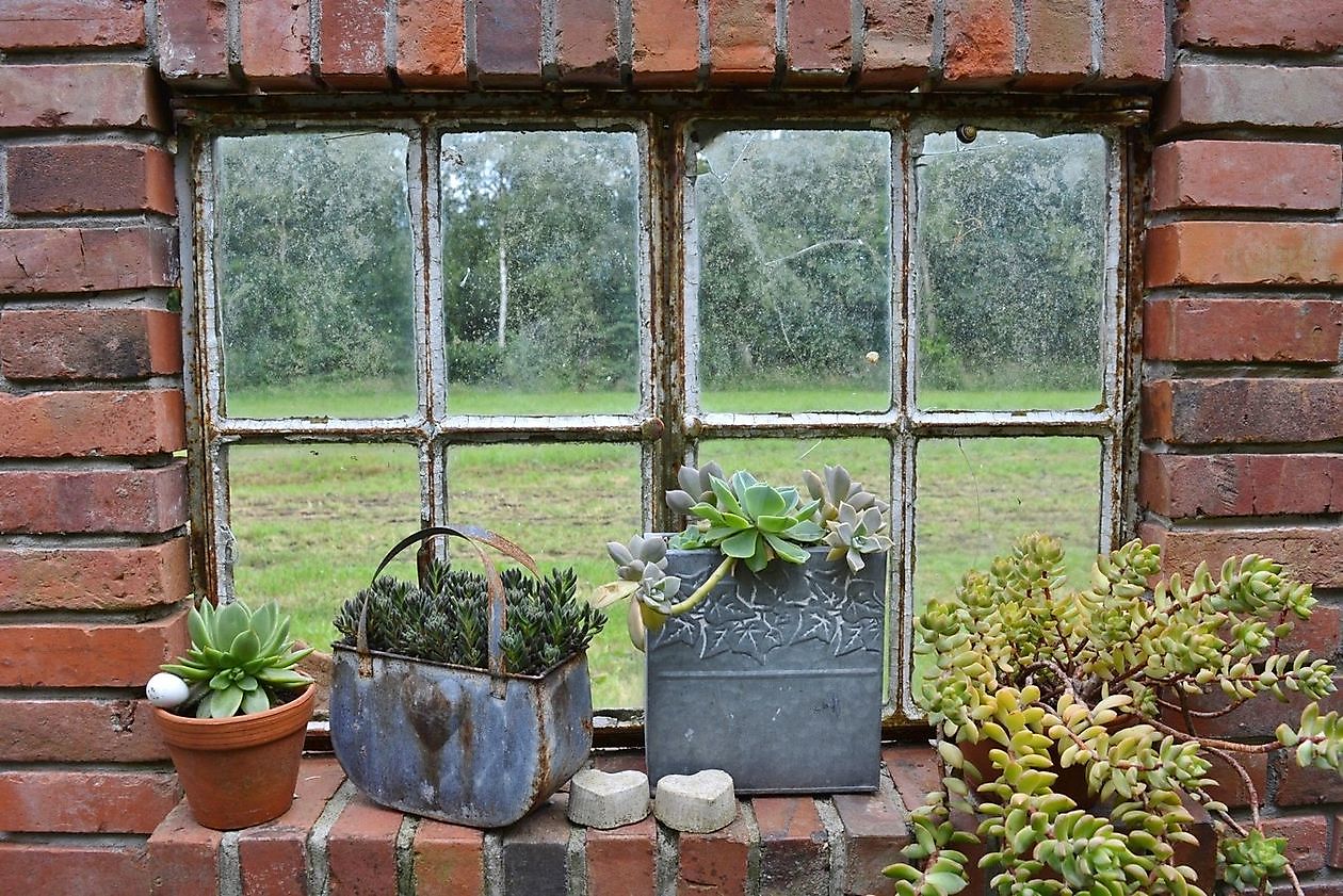 Moorjuwel - Het Tuinpad Op / In Nachbars Garten