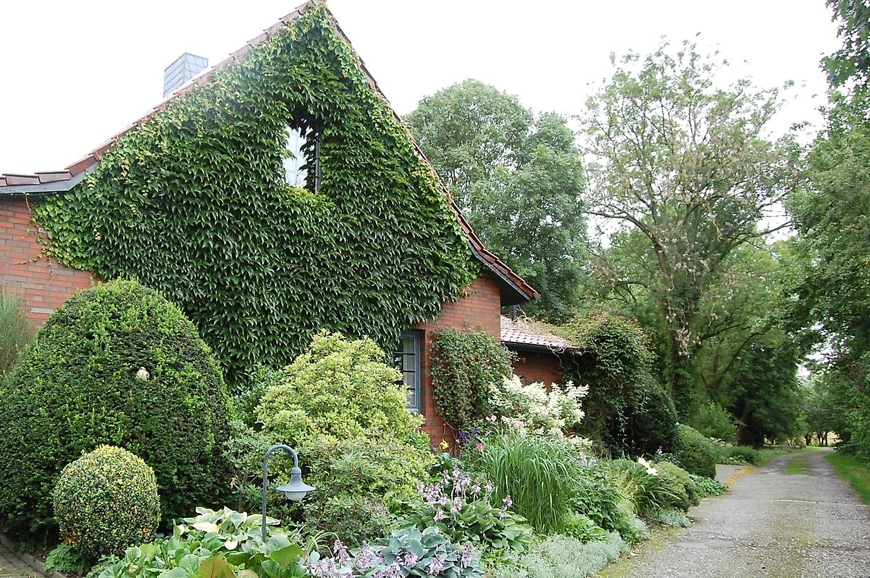 Garten Simon - Het Tuinpad Op / In Nachbars Garten