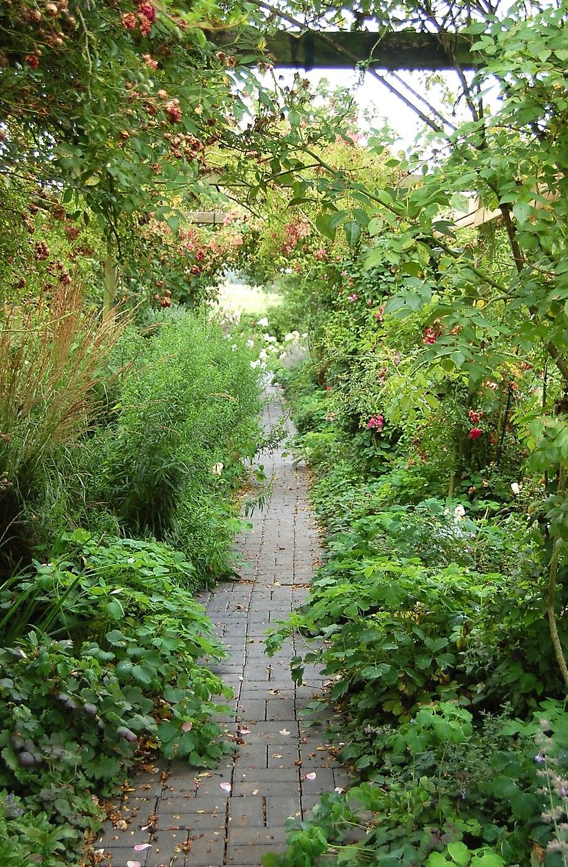 Garten Simon - Het Tuinpad Op / In Nachbars Garten