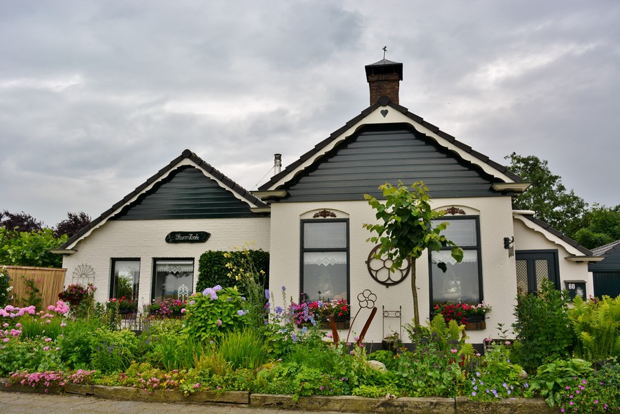 Bloummhoeske - Het Tuinpad Op / In Nachbars Garten