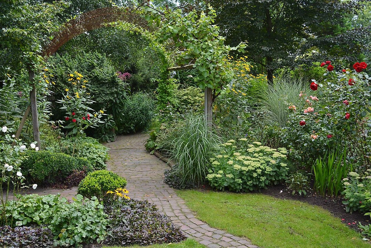 Omartinas Garten - Het Tuinpad Op / In Nachbars Garten