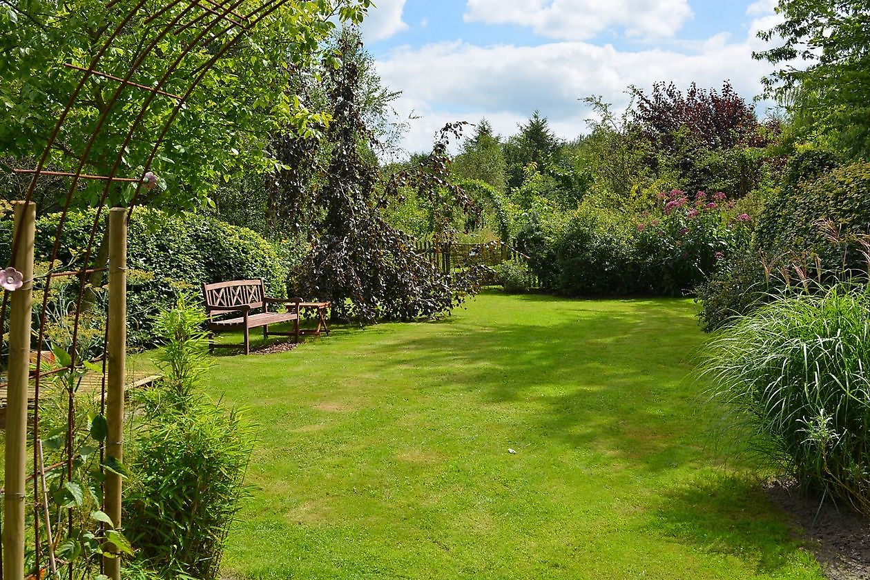 Omartinas Garten - Het Tuinpad Op / In Nachbars Garten