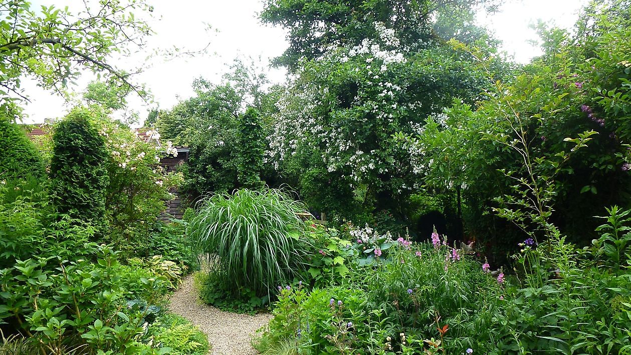 Spetzer Tuun - Het Tuinpad Op / In Nachbars Garten