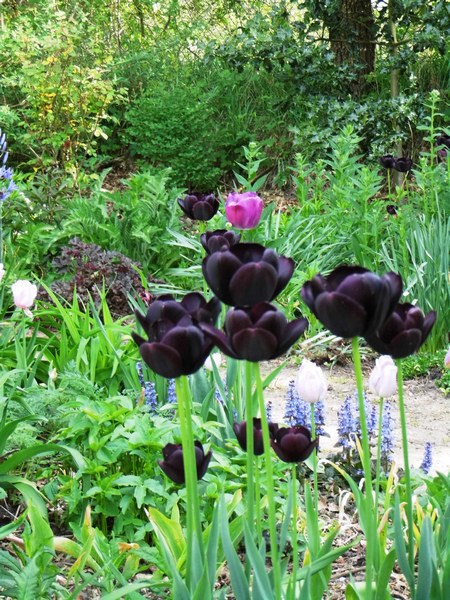 Brigitte und Klaus Knospe - Het Tuinpad Op / In Nachbars Garten