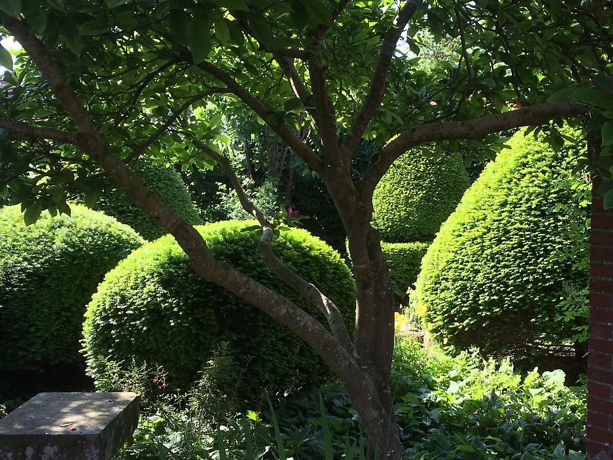 Diddens - Het Tuinpad Op / In Nachbars Garten