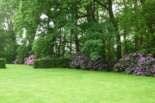 Lieselotte Cramer - Het Tuinpad Op / In Nachbars Garten