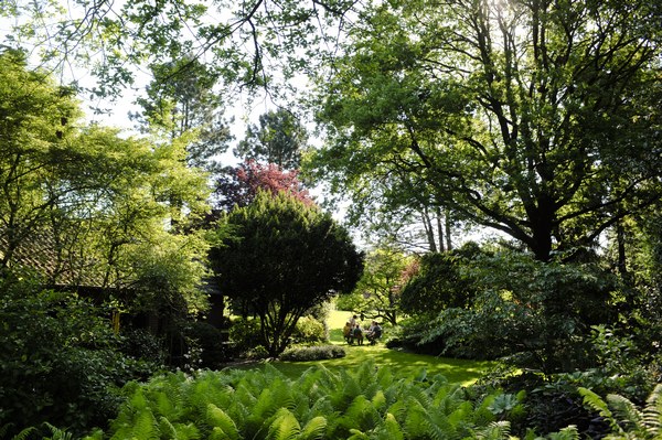 Anke zu Jeddeloh - Het Tuinpad Op / In Nachbars Garten