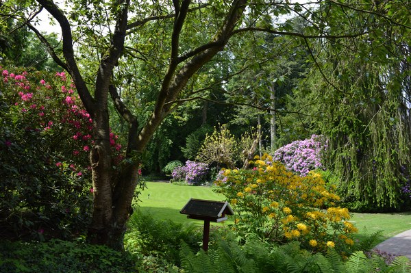 Pfarrgarten St. Andreas - Het Tuinpad Op / In Nachbars Garten