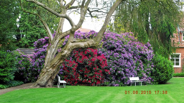 Pfarrgarten St. Andreas - Het Tuinpad Op / In Nachbars Garten