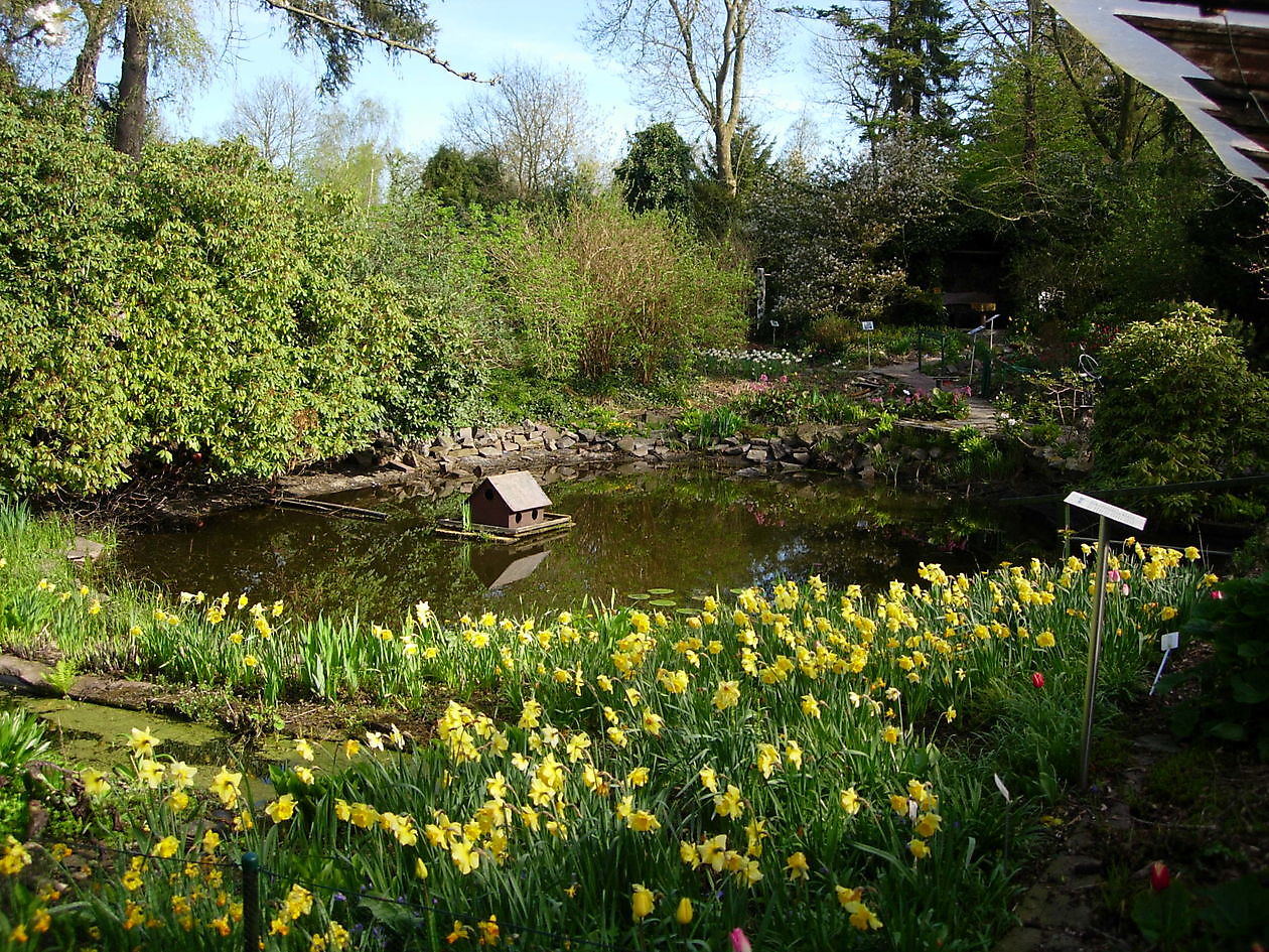 Naturgarten Naschke - Het Tuinpad Op / In Nachbars Garten