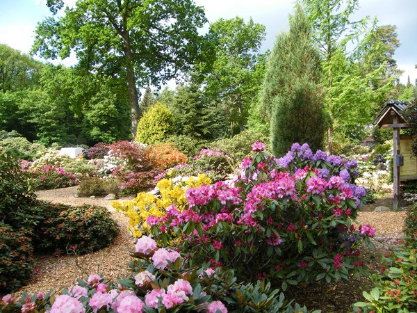 Farbenrausch im Blütenmeer -  Hobbie Rhododendronpark - Het Tuinpad Op / In Nachbars Garten