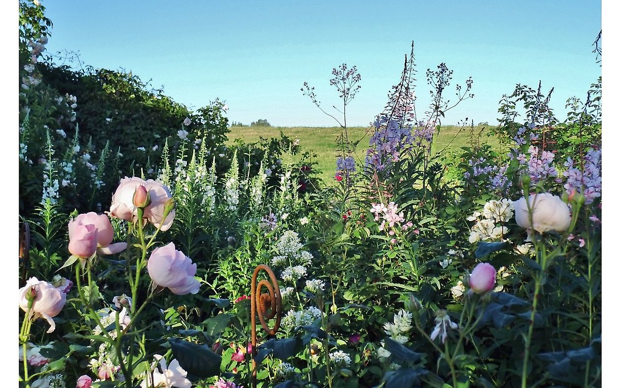 Blütenreich am Deich - Het Tuinpad Op / In Nachbars Garten