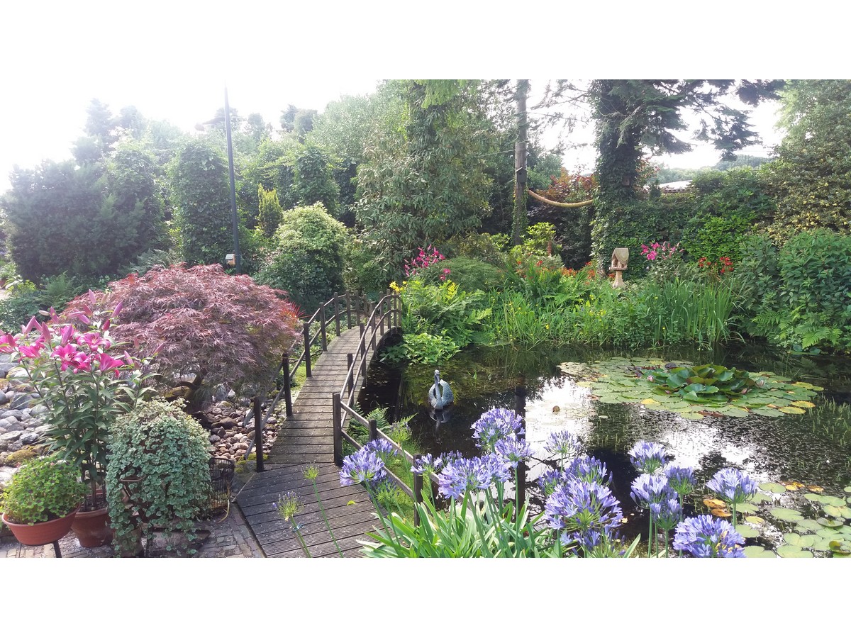 Der Hofgarten - Het Tuinpad Op / In Nachbars Garten