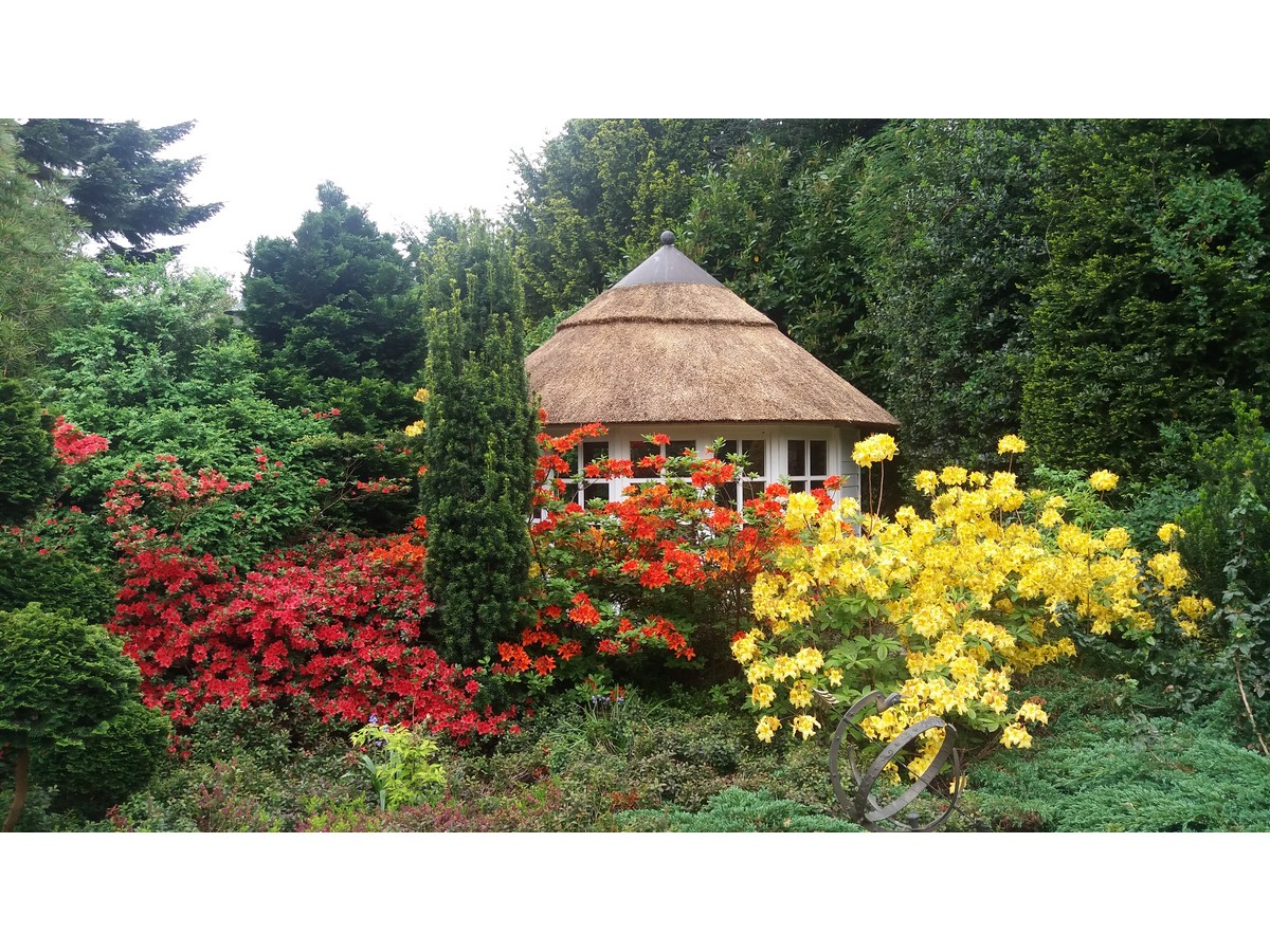 Der Hofgarten - Het Tuinpad Op / In Nachbars Garten