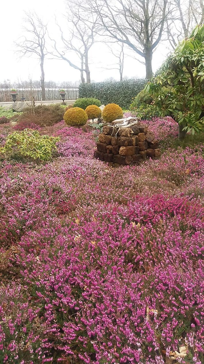 Der Hofgarten - Het Tuinpad Op / In Nachbars Garten