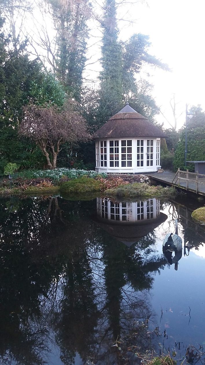 Der Hofgarten - Het Tuinpad Op / In Nachbars Garten