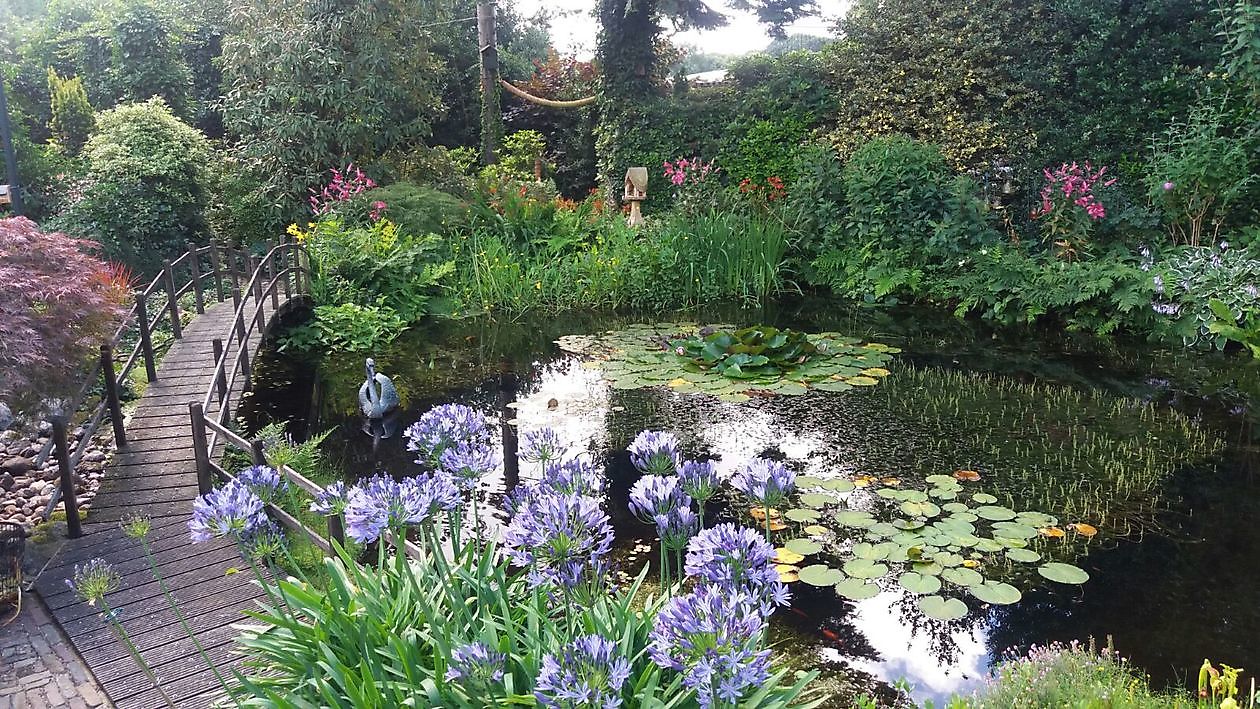 Der Hofgarten - Het Tuinpad Op / In Nachbars Garten