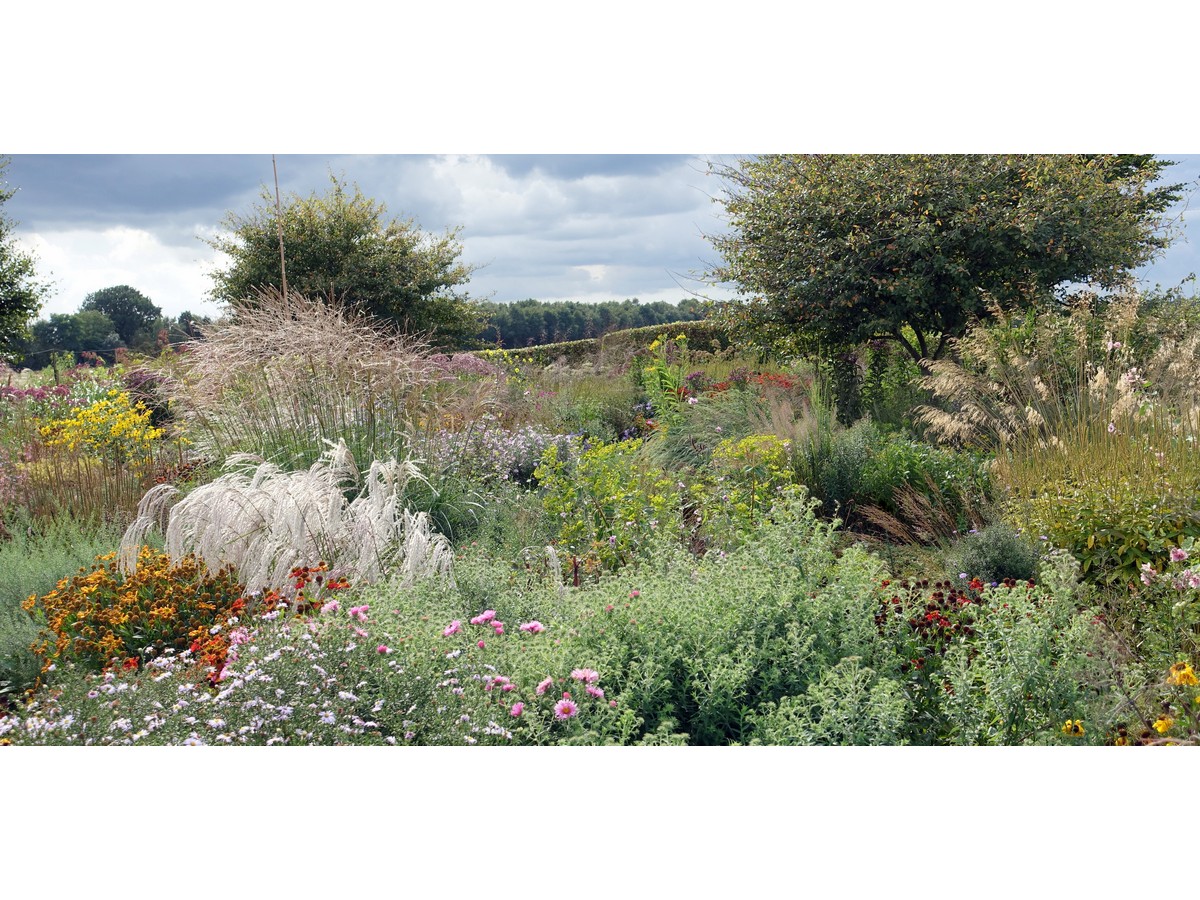 Gärtnerei Jacobs - Het Tuinpad Op / In Nachbars Garten