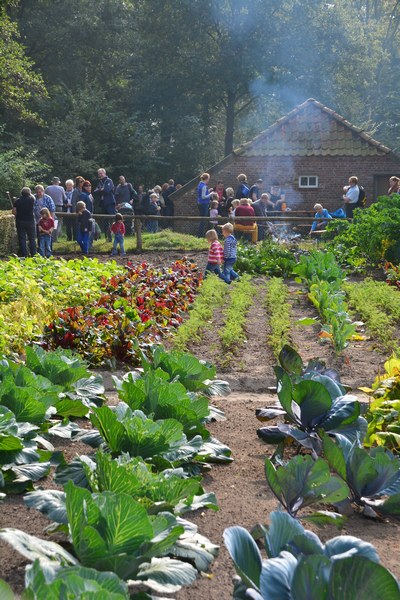 Museumsdorf Cloppenburg - Het Tuinpad Op / In Nachbars Garten