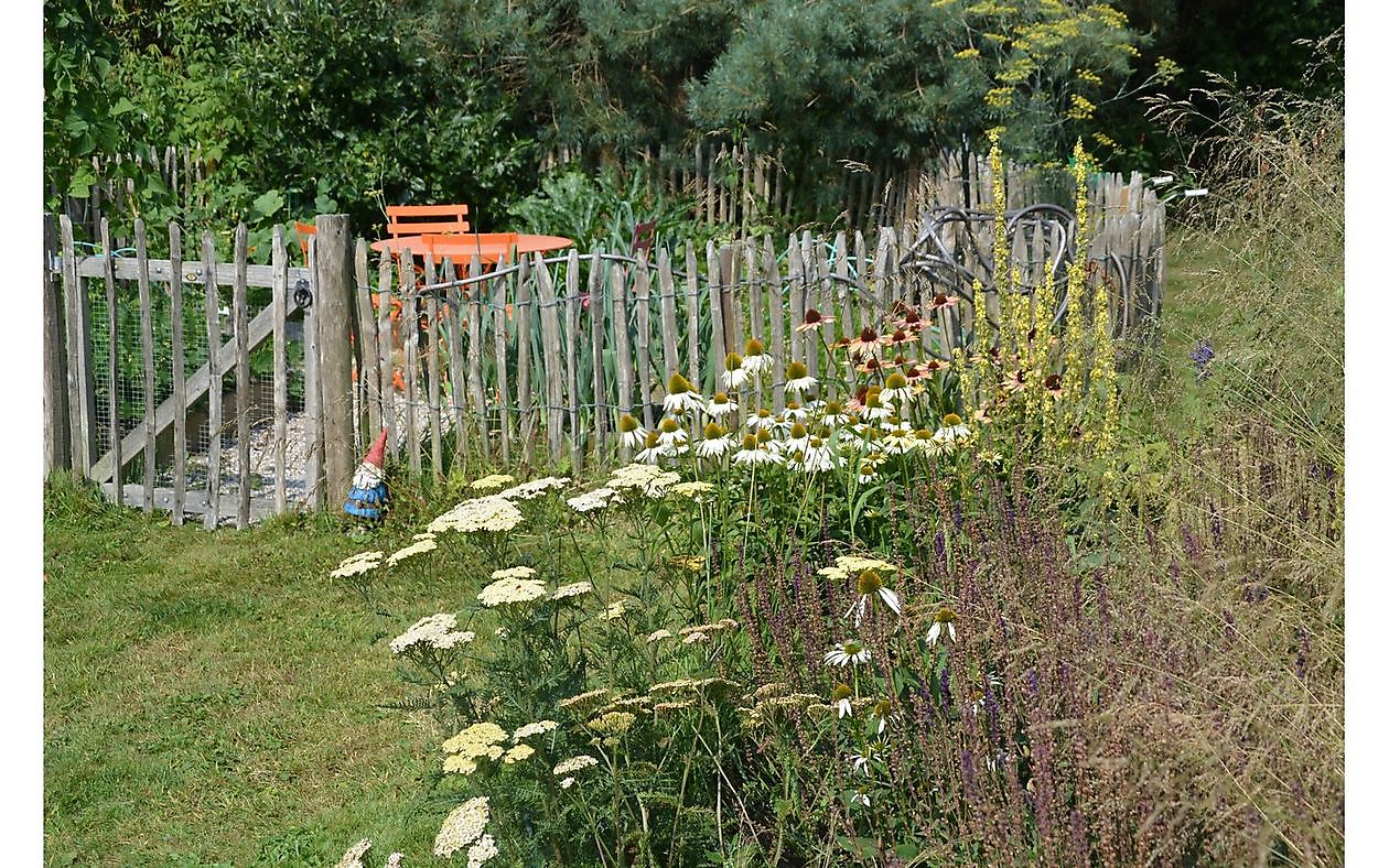 Der Garten von Helen Buwalda - Het Tuinpad Op / In Nachbars Garten