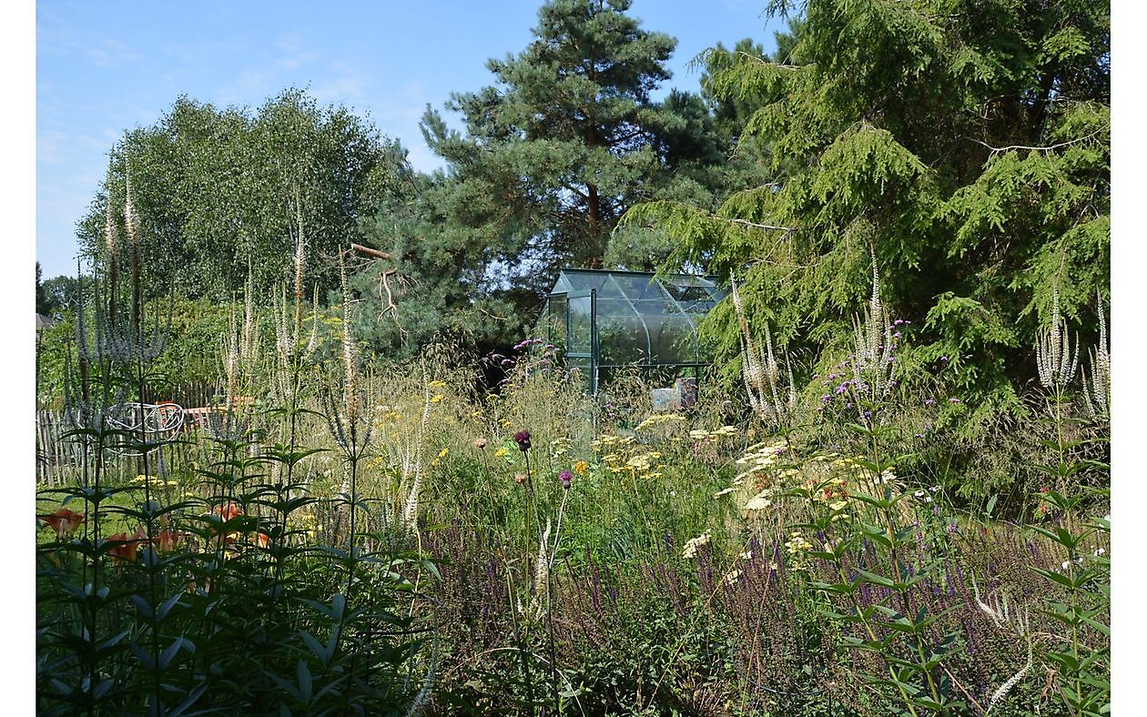 Der Garten von Helen Buwalda - Het Tuinpad Op / In Nachbars Garten