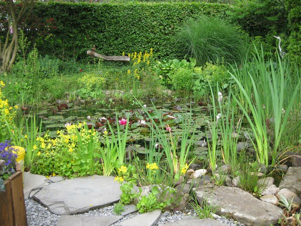 1111 Quadratmeter voller Ideen! - Het Tuinpad Op / In Nachbars Garten