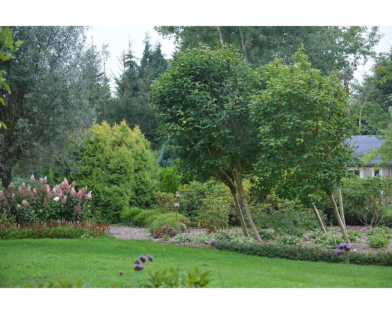 De Vier Handen  (Die vier Hände) - Het Tuinpad Op / In Nachbars Garten