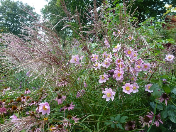 - Het Tuinpad Op / In Nachbars Garten