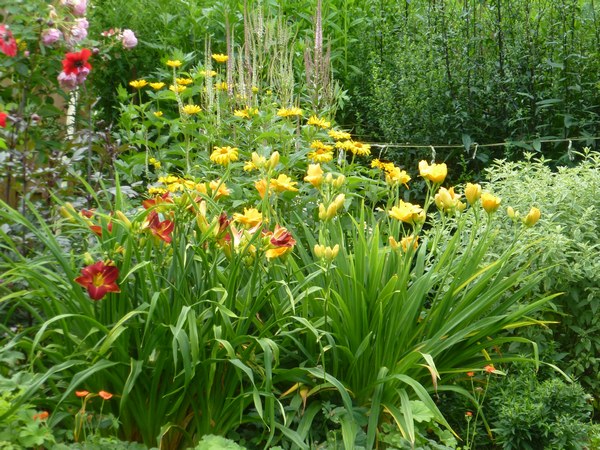  - Het Tuinpad Op / In Nachbars Garten