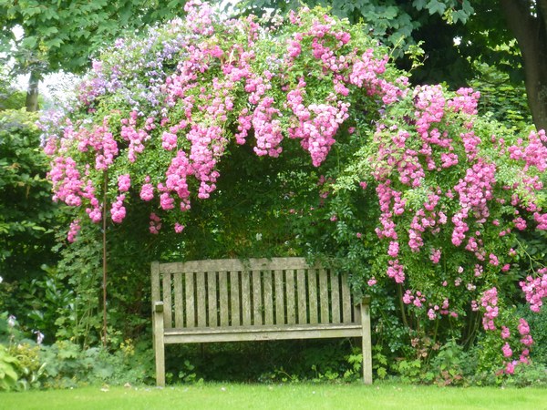  - Het Tuinpad Op / In Nachbars Garten