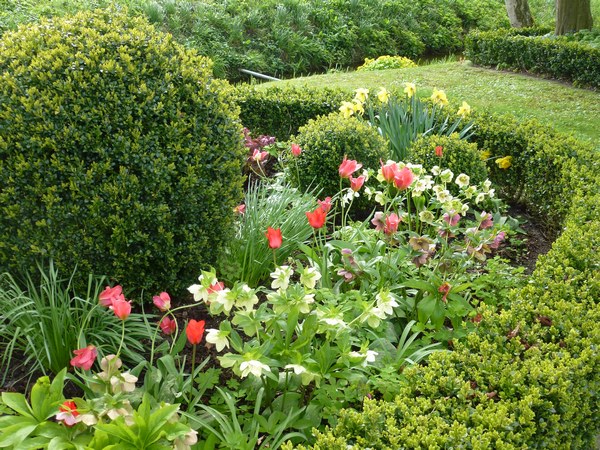  - Het Tuinpad Op / In Nachbars Garten