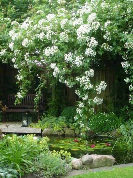  - Het Tuinpad Op / In Nachbars Garten