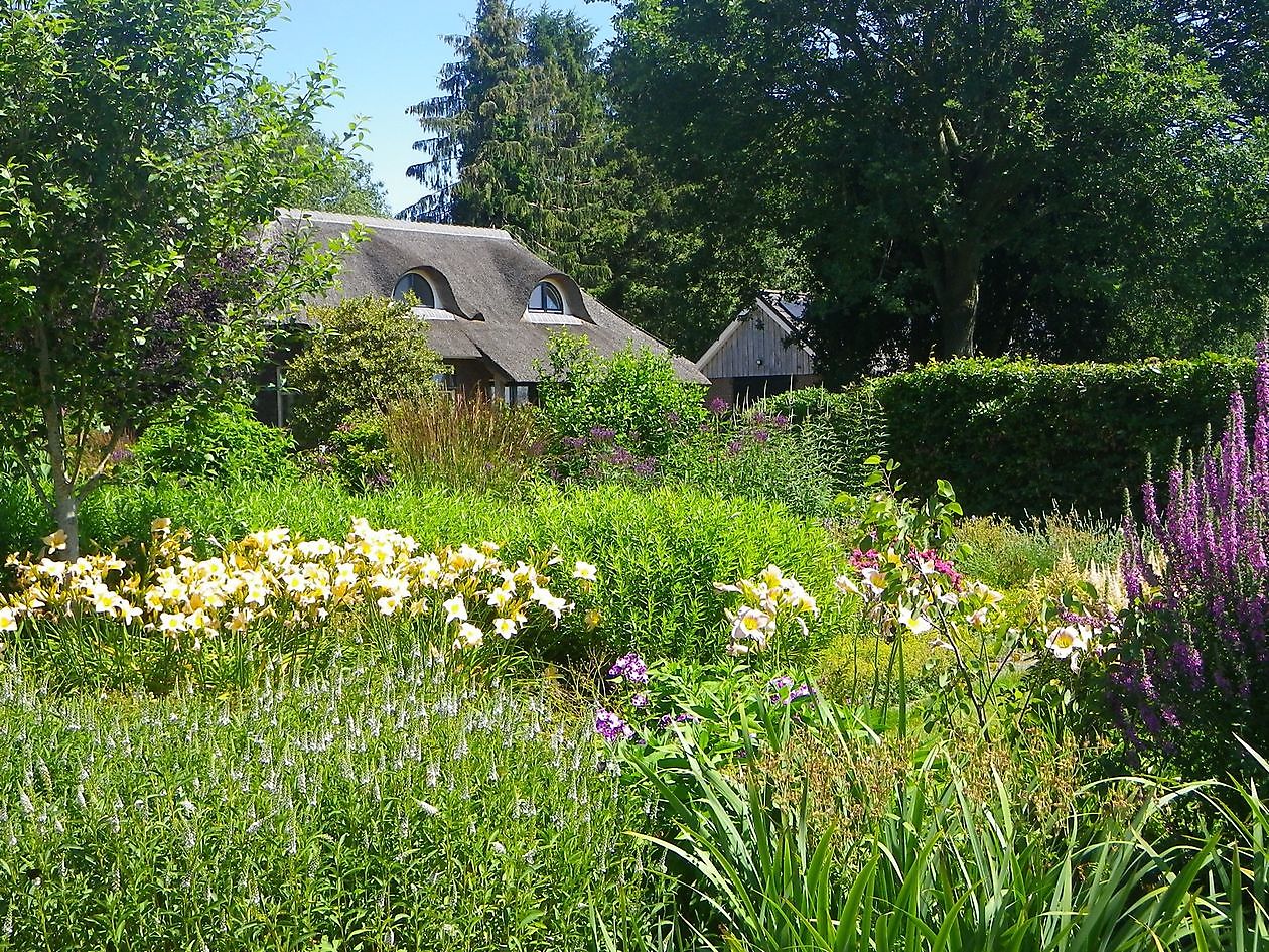 Groene Vingers - Der grüne Daumen - Het Tuinpad Op / In Nachbars Garten