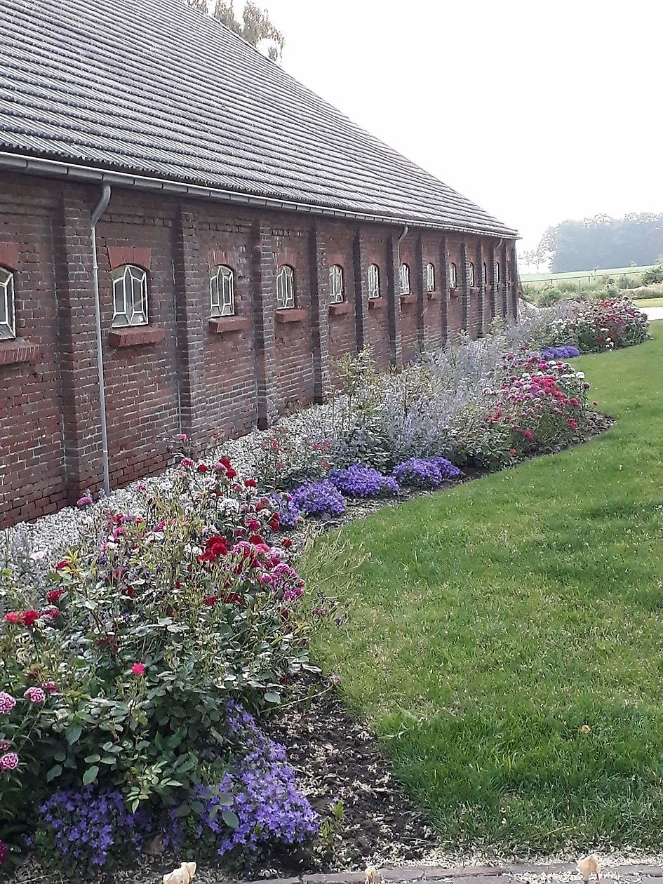 De Eendepoel - Het Tuinpad Op / In Nachbars Garten