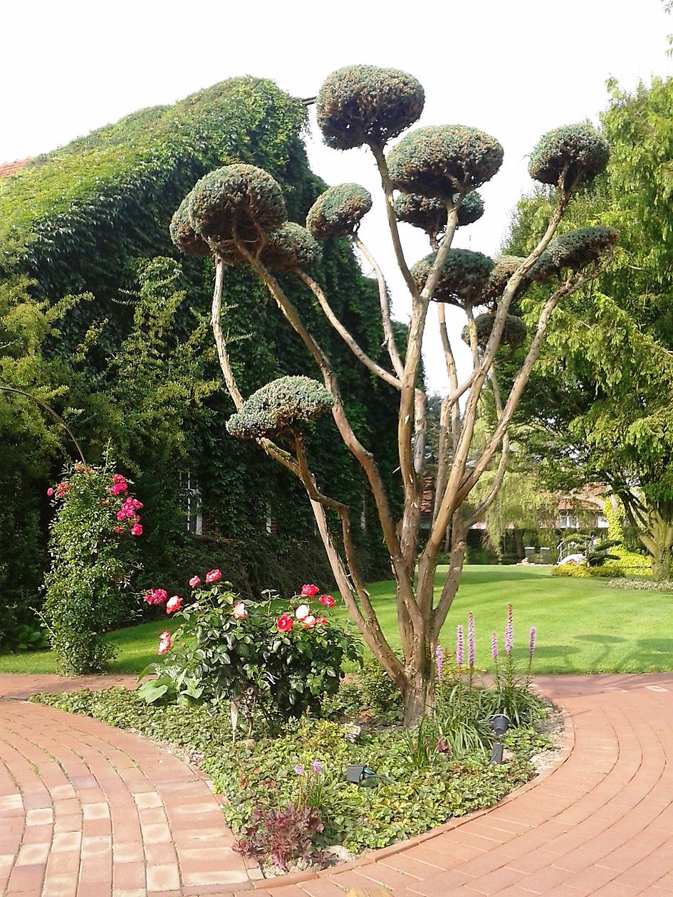 Der Garten von Johannes & Anne Rolfes - Het Tuinpad Op / In Nachbars Garten