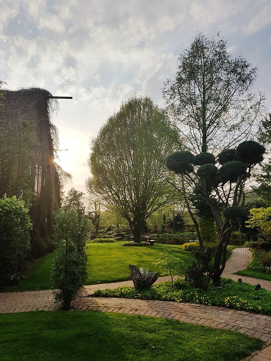 Der Garten von Johannes & Anne Rolfes - Het Tuinpad Op / In Nachbars Garten