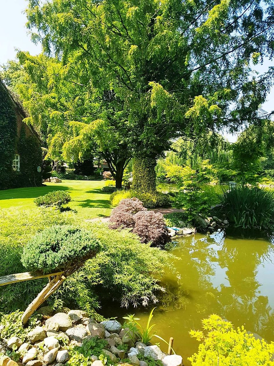 Der Garten von Johannes & Anne Rolfes - Het Tuinpad Op / In Nachbars Garten