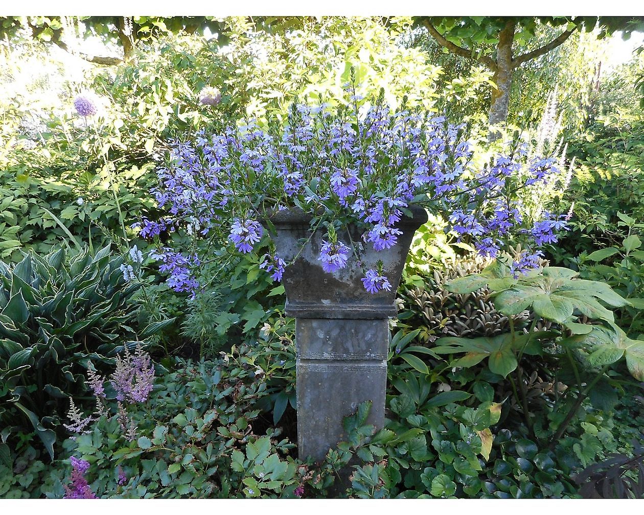 Bloemakkershof - Het Tuinpad Op / In Nachbars Garten