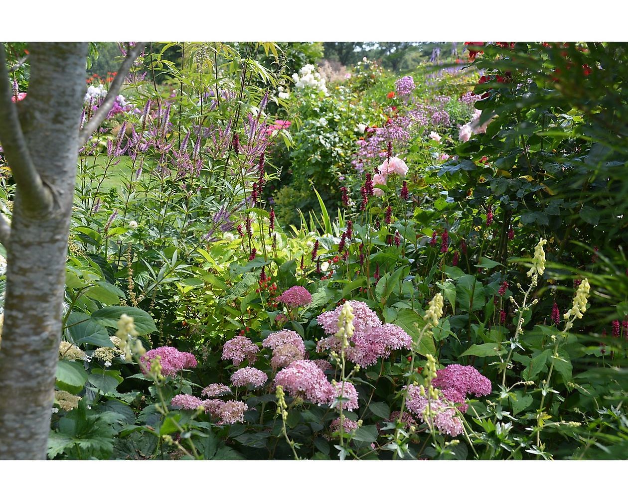 Bloemakkershof - Het Tuinpad Op / In Nachbars Garten