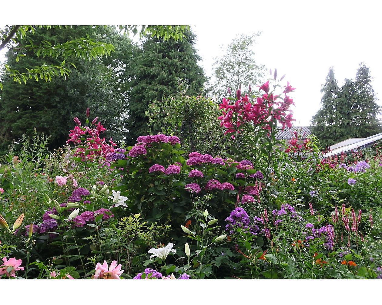 De Groene Weelde: Die grüne Fülle - Het Tuinpad Op / In Nachbars Garten