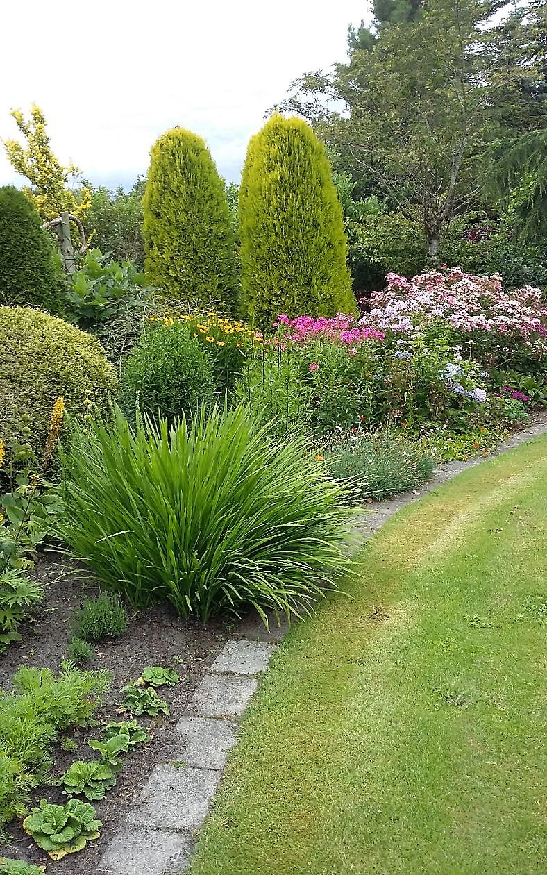 - Het Tuinpad Op / In Nachbars Garten