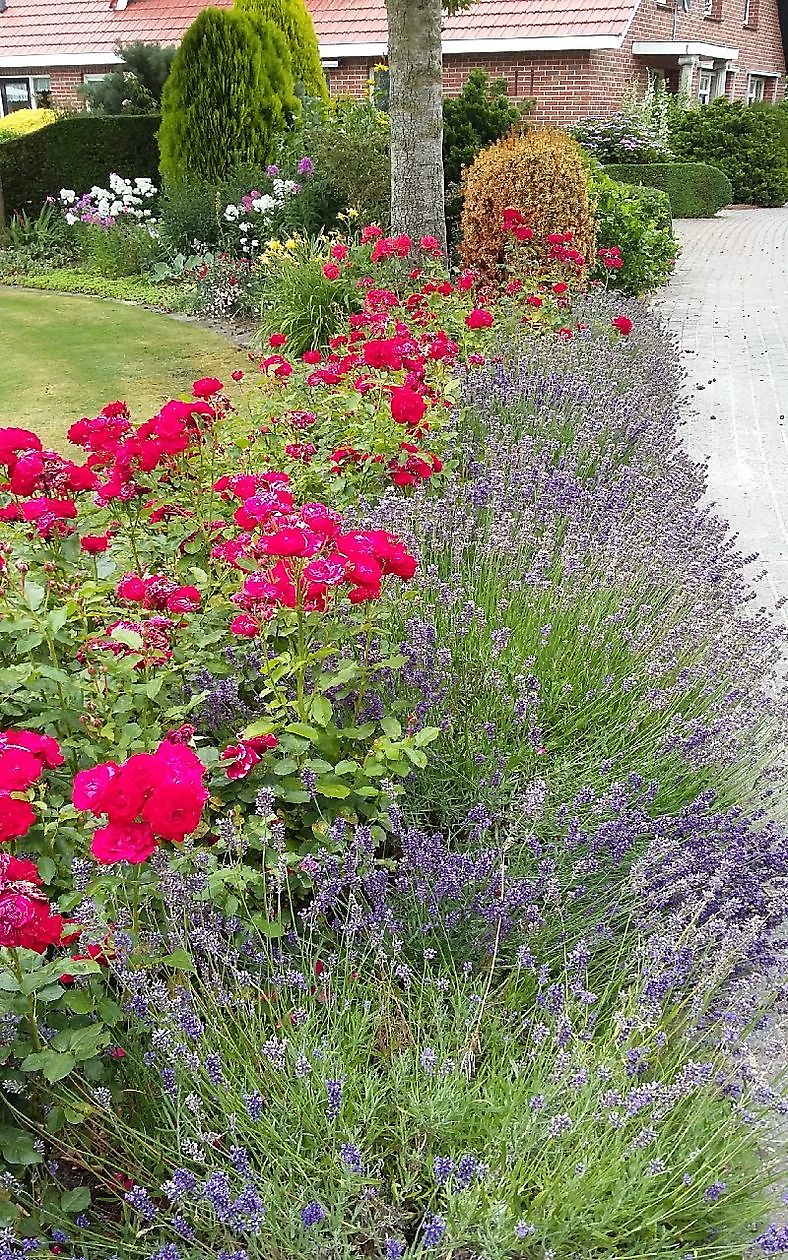  - Het Tuinpad Op / In Nachbars Garten