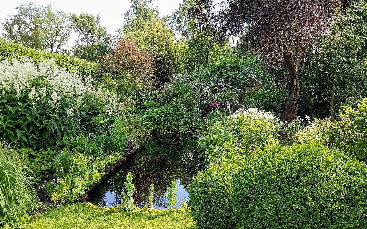 Der Garten von Anneke van Apeldoorn - Het Tuinpad Op / In Nachbars Garten