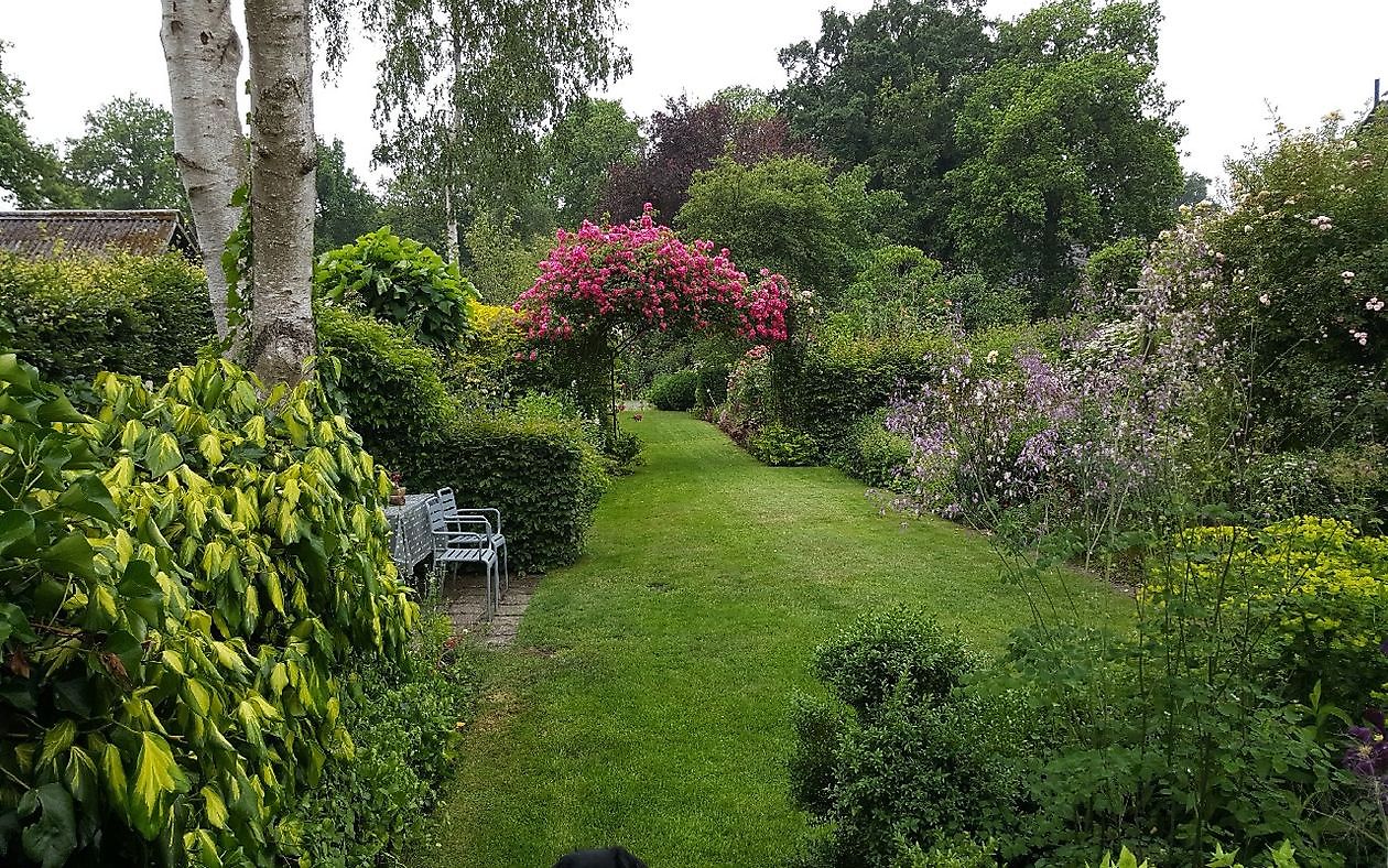 Der Garten von Anneke van Apeldoorn - Het Tuinpad Op / In Nachbars Garten